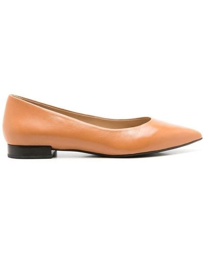 Sarah Chofakian Francesca Leather Ballerina Shoes - Brown