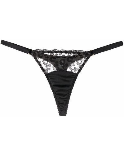 Fleur Of England Kittie Lace-panelled Thong - Black