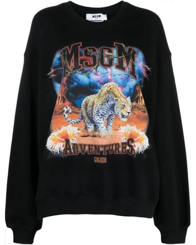MSGM Graphic-print Cotton Sweatshirt - Black