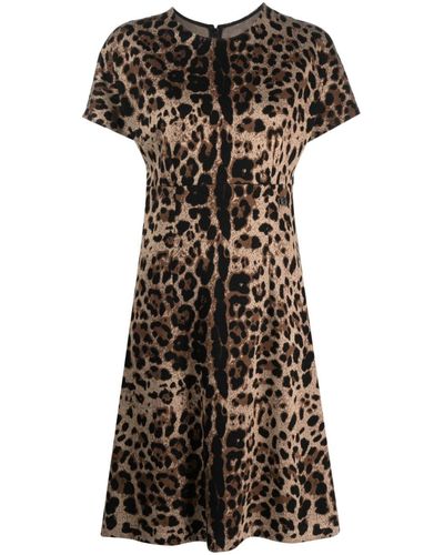 Dolce & Gabbana Leopard-jacquard Short-sleeved Dress - Black