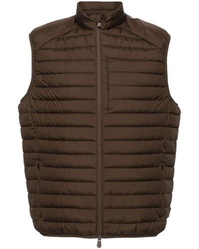 Save The Duck Dave Zip-up Quilted Gilet - Brown