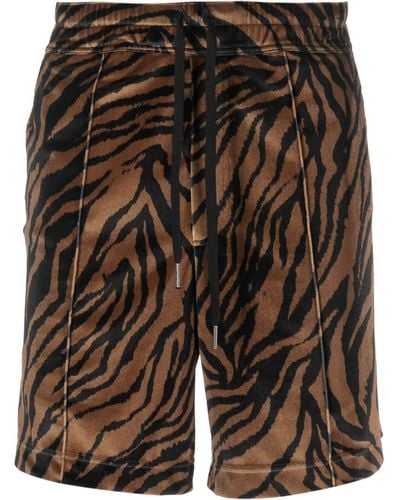 Tom Ford Zebra-print Cotton Shorts - Black