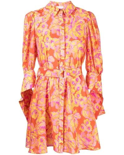 Acler Merylands Kleid mit Print - Orange