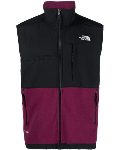 The North Face Gilet con design color-block Denali - Blu