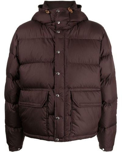 The North Face '71 Sierra Down Jacket - Brown