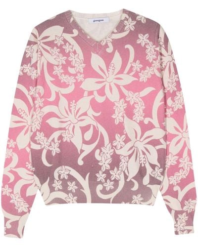 GIMAGUAS Floral Ombré Cotton Sweater - Pink
