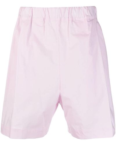 Laneus Logo-embroidered Cotton Shorts - Pink