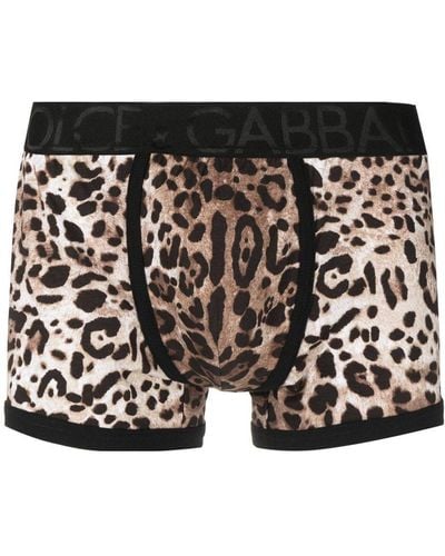 Dolce & Gabbana Shorts mit Leoparden-Print - Schwarz