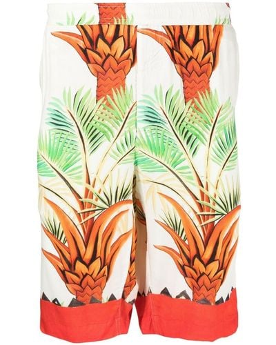Endless Joy Date Palm Motif-print Bermuda Shorts - Multicolor