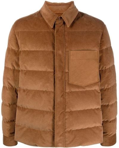 Zegna Shirt Style Puffer Jacket - Brown
