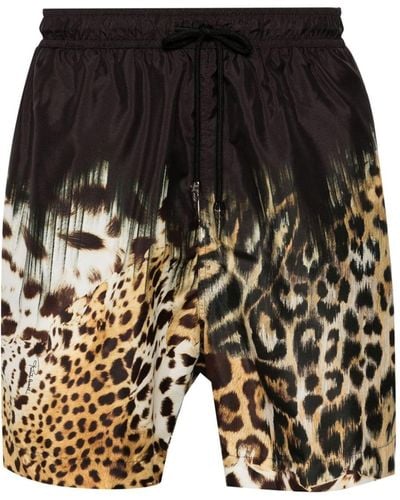 Roberto Cavalli Tiger Tooth-detailed Leopard-print Swim Shorts - Black