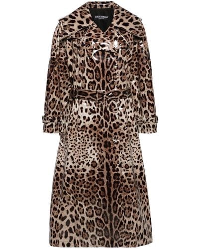 Dolce & Gabbana Gabardina con estampado de leopardo - Neutro