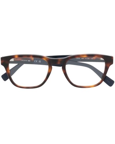 Lacoste バイカラー スクエア眼鏡フレーム - ブラウン