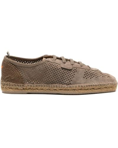 Castañer Tomas Perforated Suede Trainers - Brown