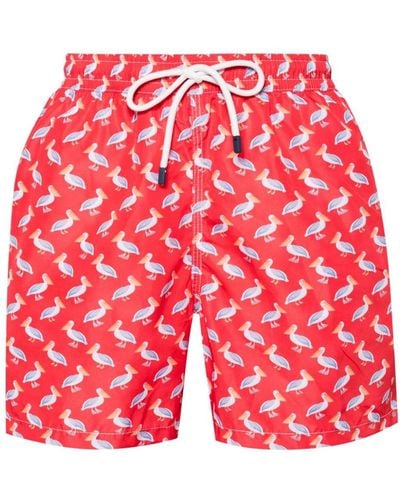 Fedeli Pelican-print Drawstring Swim Shorts - Red