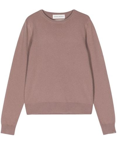 Extreme Cashmere No41 Body Crew-neck Sweater - Pink