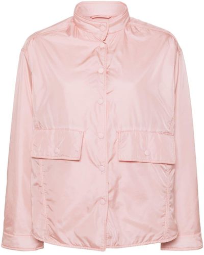 Aspesi Thermal-insulation Padded Jacket - Pink