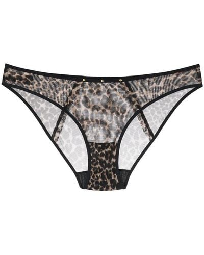 Marlies Dekkers Vixen Leopard-print Mesh Briefs - Grey