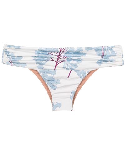 Clube Bossa Percy Floral-print Bikini Bottoms - Blue