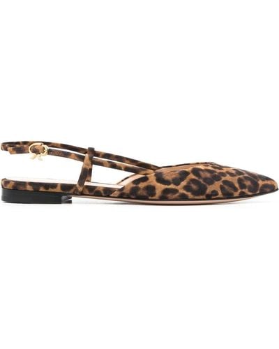 Gianvito Rossi Leopard-print Pointed Sandals - Brown