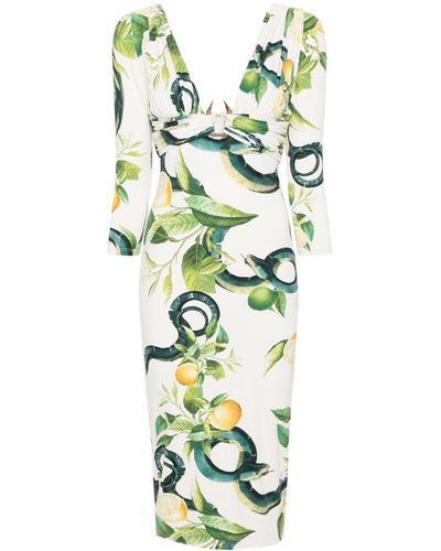 Roberto Cavalli Tiger Tooth-detailed Snake-print Midi Dress - Green