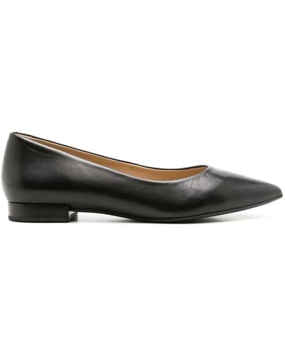 Sarah Chofakian Francesca Pointed Ballerina Shoes - Black