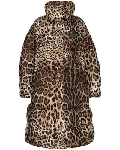 Dolce & Gabbana Leopard-print Oversize Padded Coat - Brown