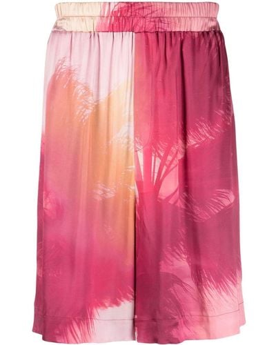 Laneus Palm Tree-print Wide-leg Shorts - Pink