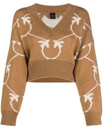 Pinko V-neck Cropped Sweater - Brown