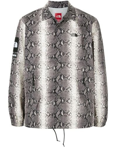 Supreme X The North Face Snakeskin-print Taped Seam Jacket - Multicolour