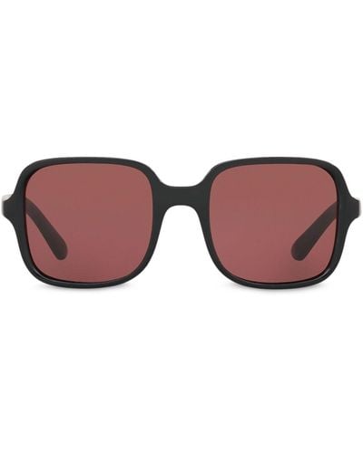 ALEXACHUNG X Sunglass Hut Oversized Frames Sunglasses - Brown