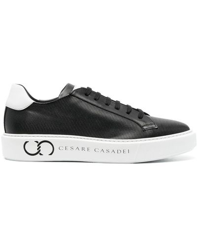 Casadei Two-tone Lace-up Trainers - Black