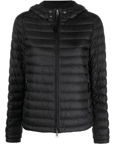 Parajumpers Duck-down Puffer Jacket - Black