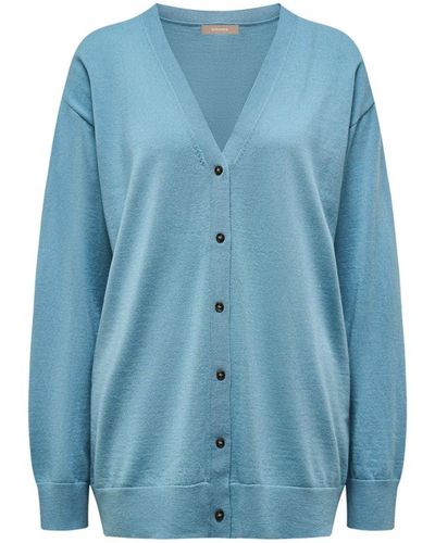 12 STOREEZ Button-up V-neck Cardigan - Blue