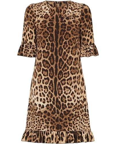 Dolce & Gabbana Leopard-print Ruffle-trim Minidress - Brown