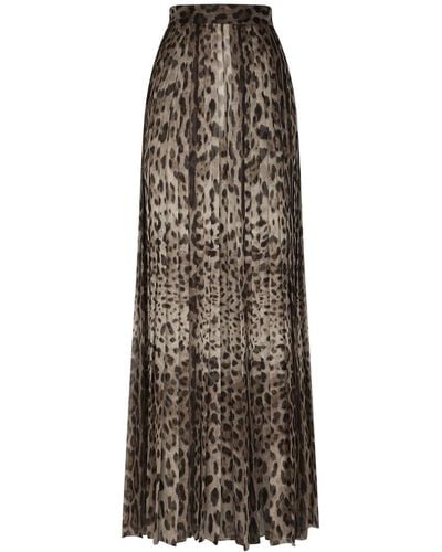 Dolce & Gabbana Culotte Met Luipaardprint - Meerkleurig