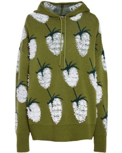 La DoubleJ Lampone Patterned Intarsia-knit Hoodie - Green