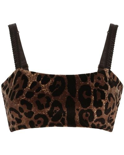 Dolce & Gabbana Leopard-print Sleeveless Crop Top - Brown