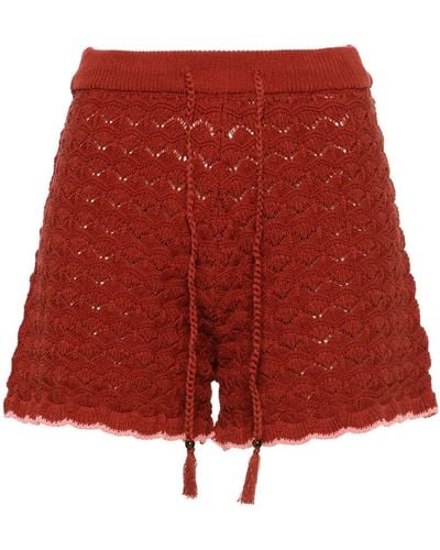 Scotch & Soda Contrasting-trim Knitted Shorts - Red