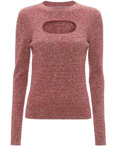 JW Anderson Cut-out Long-sleeve Top - Pink