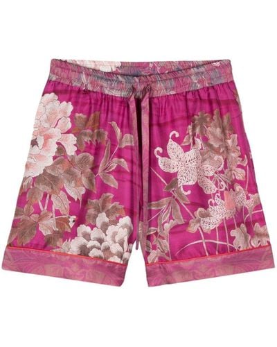 Pierre Louis Mascia Aloe Floral-print Silk Shorts - Pink