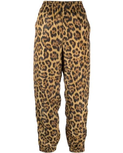 Alexander Wang Leopard-print Tapered-leg Pants - Brown