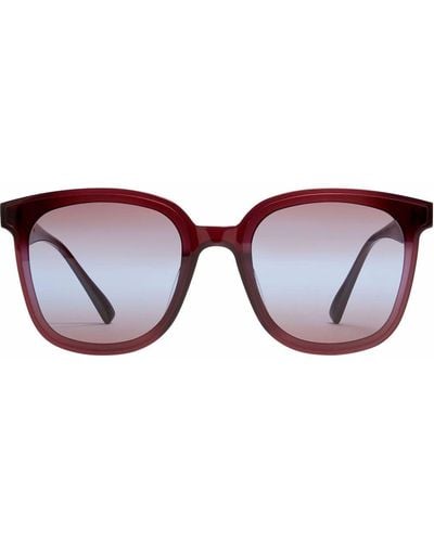 Gentle Monster Jackie Rc3 Oversized Frame Sunglasses - Red