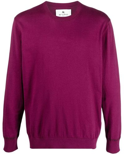 Etro Fine Knit Cotton Jumper - Purple