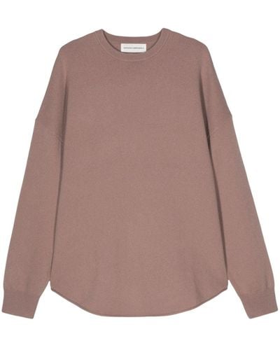 Extreme Cashmere No53 Knitted Jumper - Brown