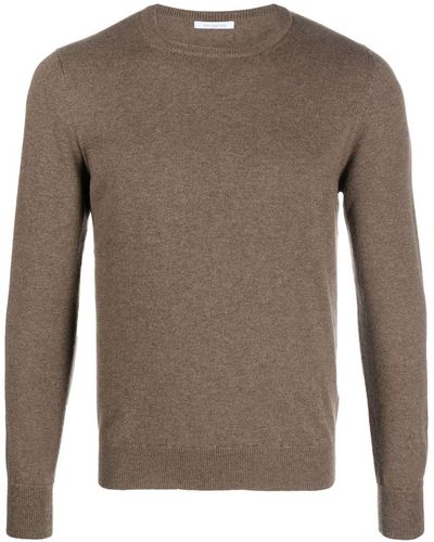 Malo Crew-neck Cashmere Sweater - Brown