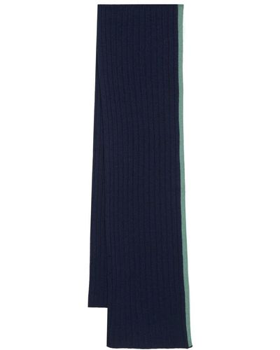 Dell'Oglio Cashmere Ribbed Knit Scarf - Blue