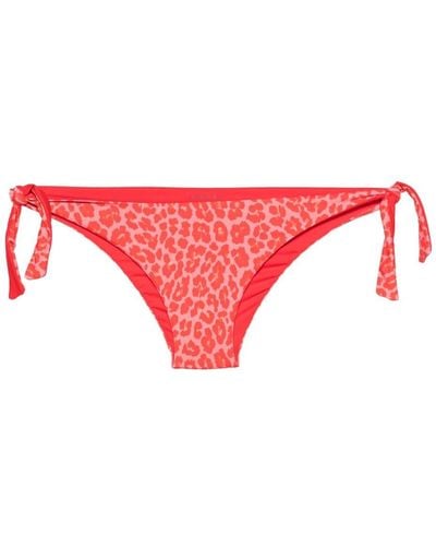 Fisico Leopard-print Bikini Bottoms - Red