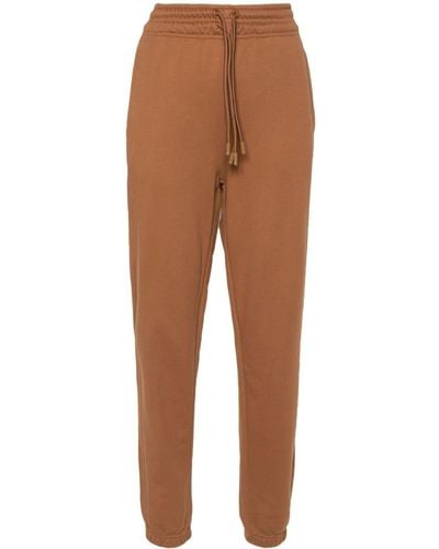 adidas By Stella McCartney Organic-cotton Track Trousers - Brown