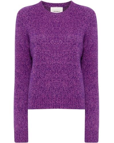 Lisa Yang Crew-neck Cashmere-silk Sweater - Purple